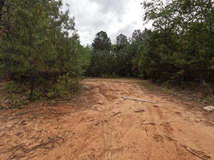 Commercial Property in Prentiss County, Mississippi