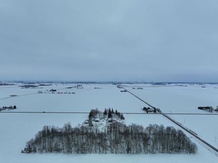Timberland Property in Huron County, Michigan