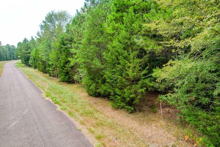 Timberland Property in Cherokee County, Texas