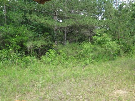 Recreational Property in Wayne County, Mississippi