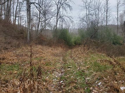 Land in Greenbrier County, West Virginia