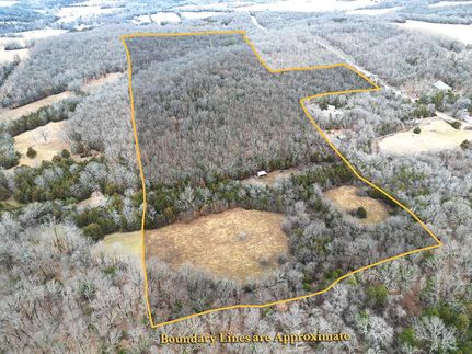 Undeveloped Land in Webster County, Missouri