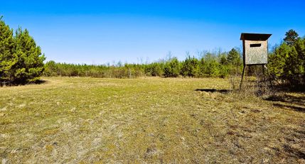 Recreational Property in Jasper County, Mississippi