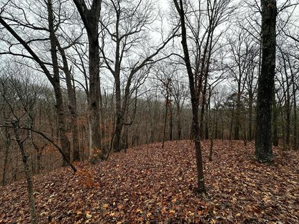Recreational Property in Monroe County, Illinois