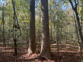 Farm and Ranch in Pender County, North Carolina