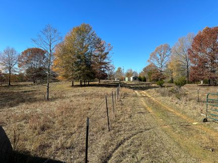Undeveloped Land in Attala County, Mississippi