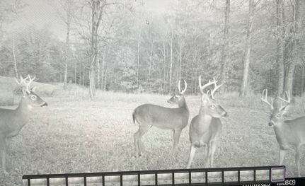 Recreational Property in Saint Clair County, Alabama