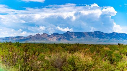 Recreational Property for sale in Cochise County, Arizona