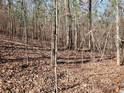 Land for sale in Saint Clair County, Alabama