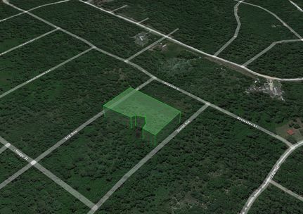 Undeveloped Land in Putnam County, Florida