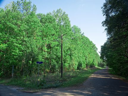 Undeveloped Land in Harrison County, Texas