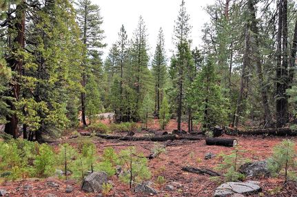 Undeveloped Land in Modoc County, California