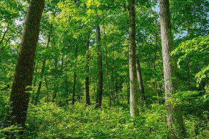 Farm and Ranch in Lawrence County, Ohio
