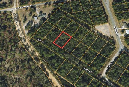 Land in Putnam County, Florida