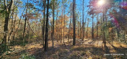 Farm and Ranch in Shelby County, Texas
