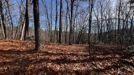 Recreational Property in Wilkes County, North Carolina