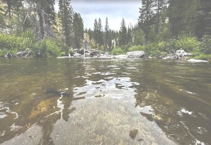 Timberland Property in Boise County, Idaho