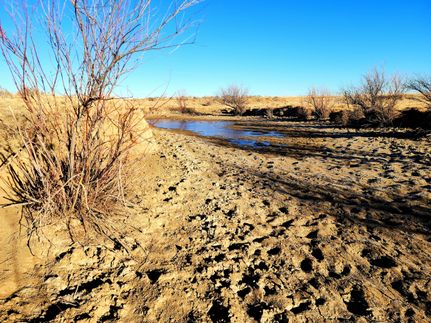Undeveloped Land in Kiowa County, Colorado