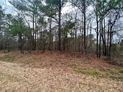 Undeveloped Land in Hancock County, Georgia
