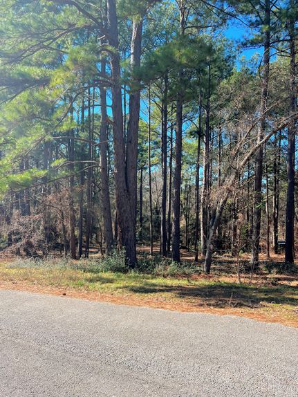 Undeveloped Land in Smith County, Texas