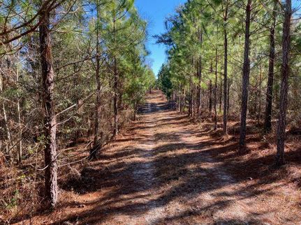 Farm and Ranch in Appling County, Georgia