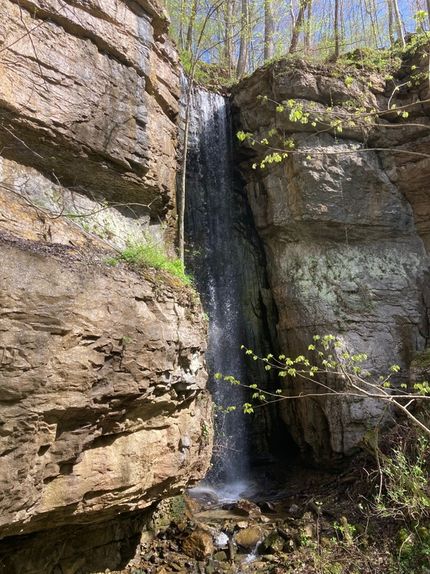 Undeveloped Land in Morgan County, Alabama