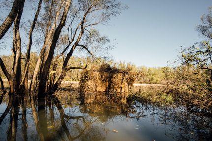 Farm and Ranch in Issaquena County, Mississippi