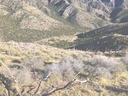 Recreational Property for sale in Douglas County, Nevada