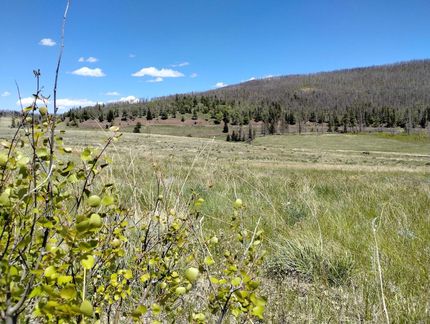 Farm and Ranch in Costilla County, Colorado