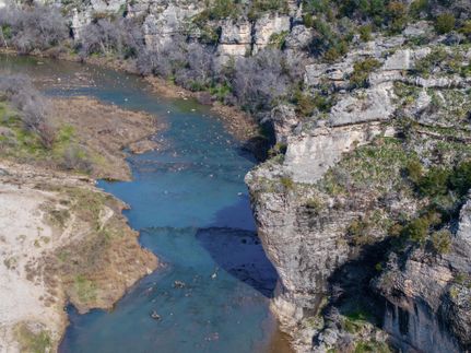 Timberland Property in Lampasas County, Texas