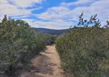 Undeveloped Land in Real County, Texas