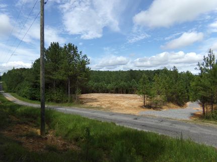 Land in Marion County, Alabama