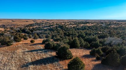 Timberland Property in Barber County, Kansas
