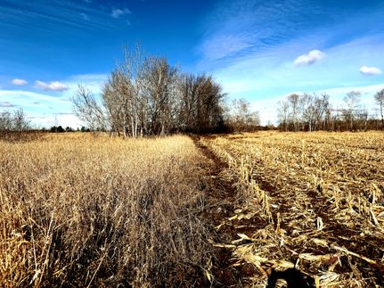 Undeveloped Land in Mille Lacs County, Minnesota