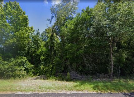 Undeveloped Land in Tyler County, Texas