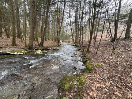 Recreational Property in Luzerne County, Pennsylvania