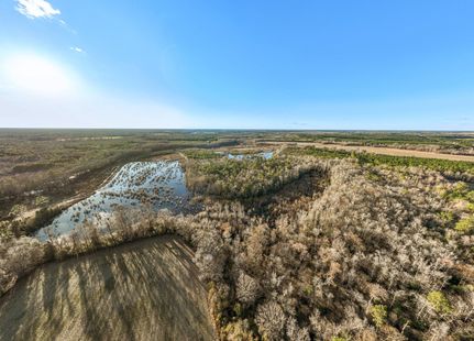 Timberland Property in Beaufort County, North Carolina