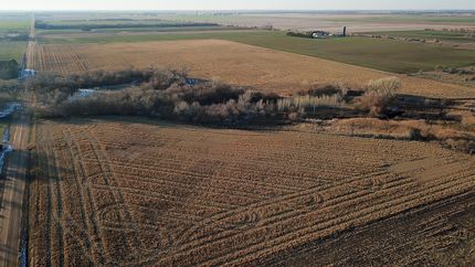 Timberland Property in Rice County, Kansas