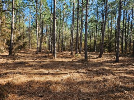 Recreational Property in Pike County, Alabama