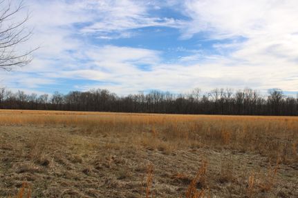 Land for sale in Marshall County, Mississippi