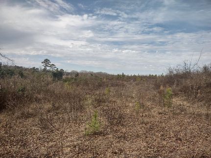 Land for sale in Morris County, Texas