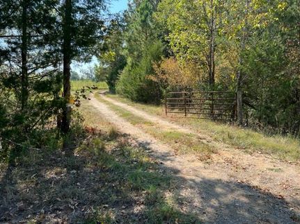 Timberland Property in Wilcox County, Alabama