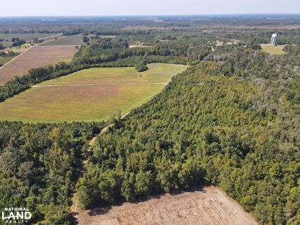 Land in Lee County, South Carolina
