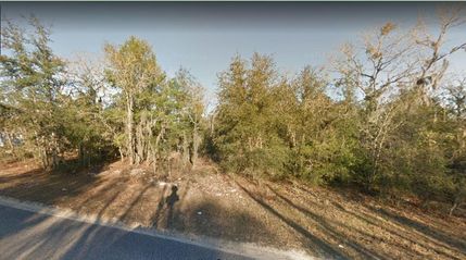 Recreational Property in Putnam County, Florida