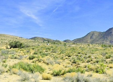 Timberland Property in Mohave County, Arizona