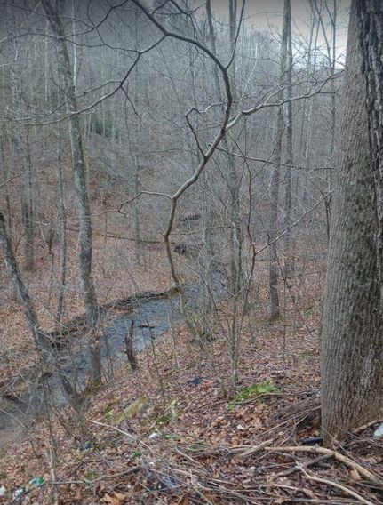 Timberland Property in Braxton County, West Virginia
