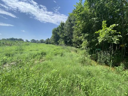 Farm and Ranch in Morehouse Parish, Louisiana