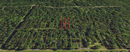 Undeveloped Land in Liberty County, Texas