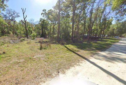 Undeveloped Land in Dixie County, Florida