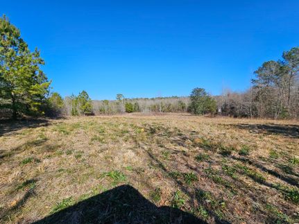 Recreational Property in Pike County, Alabama